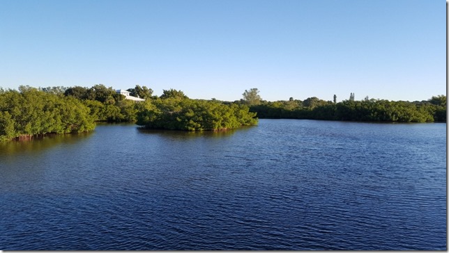 running in florida travel 1 (800x450)