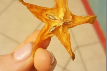 Dried Star Fruit Addiction Dried Star Fruit Addiction