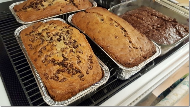 chocolate chip quick bread food blog (800x450)