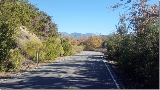 freezing orange county california run blog 6 (800x450)