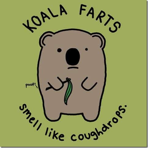 koala farts