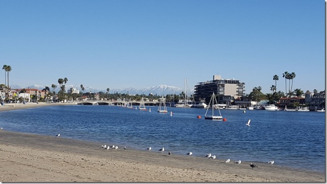 long beach running blog 4 (800x450)