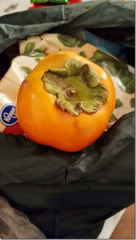 persimmon season (450x800)