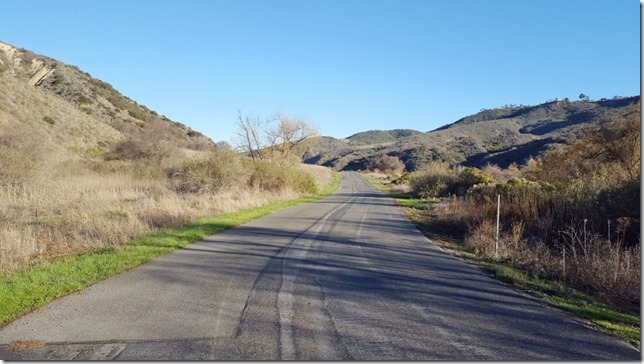 running buddy blog 3 (800x450)