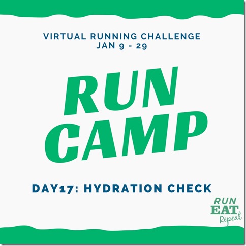 Run Camp Day 17