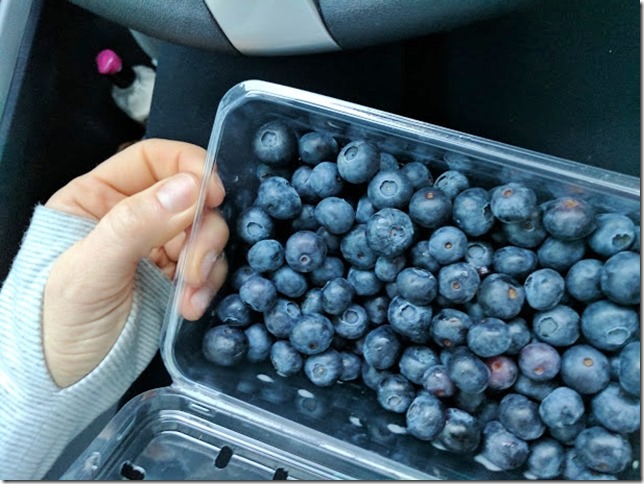 blueberries in the car (460x613)