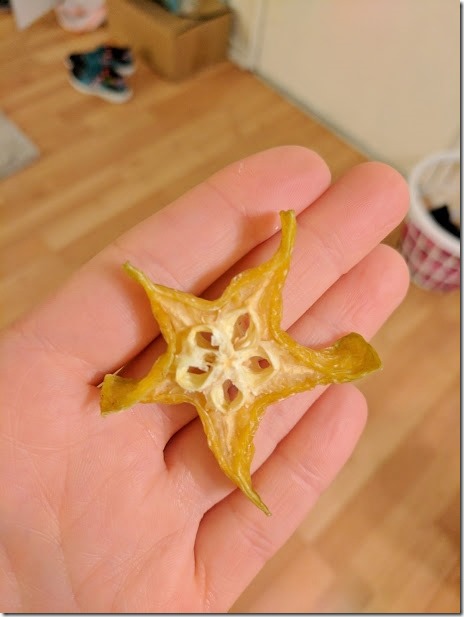 star fruit snack (460x613)