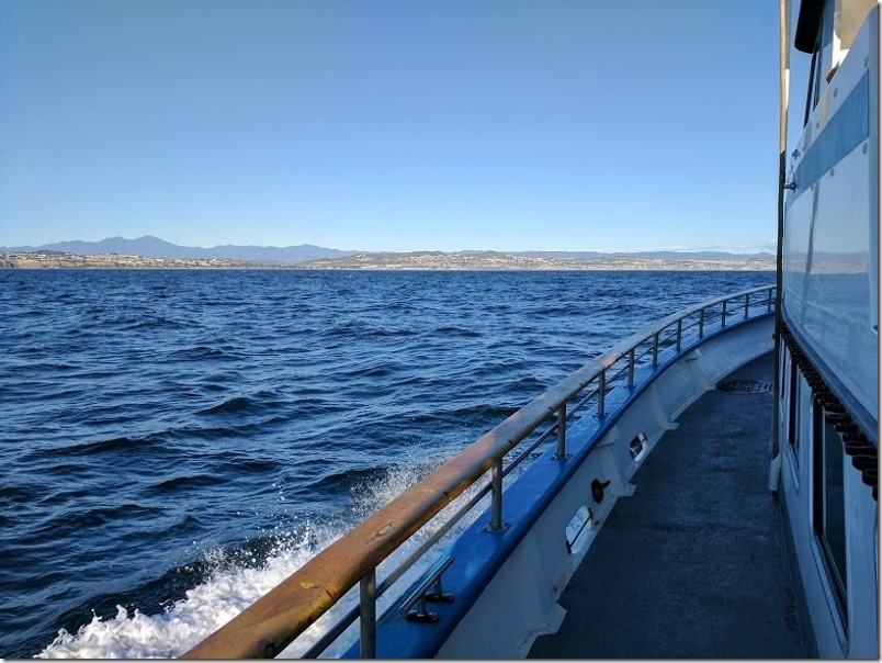 whale watching in dana point california 17 (800x600)