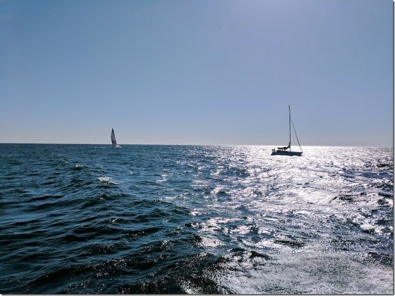 Whale Watching in Dana Point - Run Eat Repeat