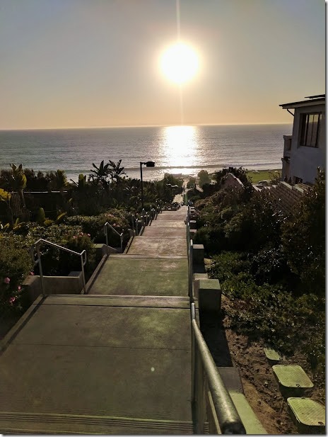 dana point (460x613)