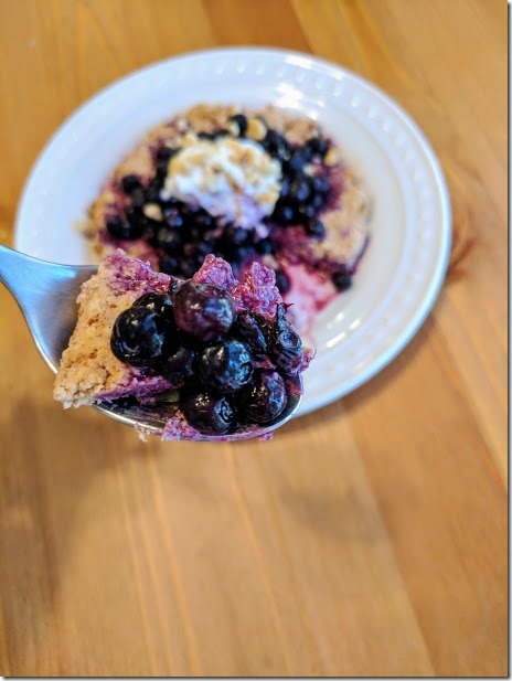 blueberry pie oatmeal pie recipe 20 (460x613)