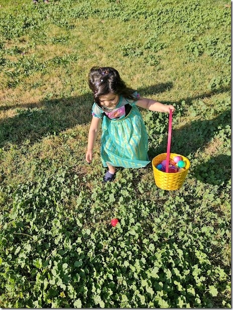 confetti egg hunt 30 (460x613)