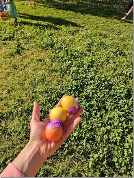 confetti egg hunt 5 (460x613)