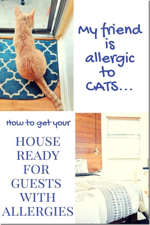 house guest with cat allergy