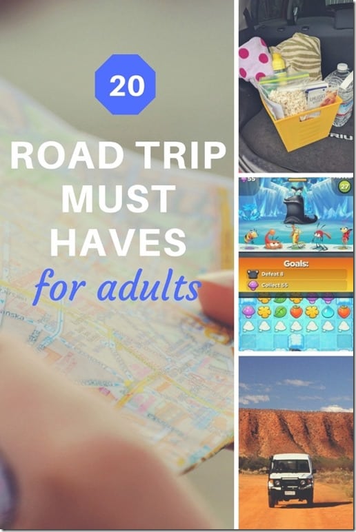 20 road trip must haves for adults (533x800)