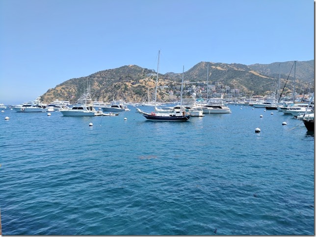 catalina island fun things to do 21 (785x589)