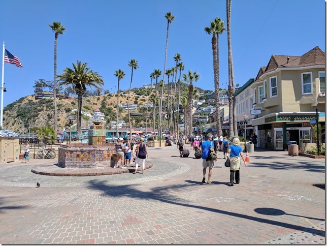 catalina island fun things to do 24 (785x589)