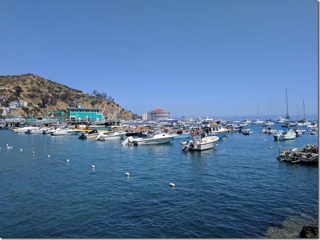 catalina island fun things to do 7 (785x589)