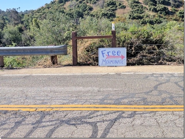 mormon lemonade run (800x600)