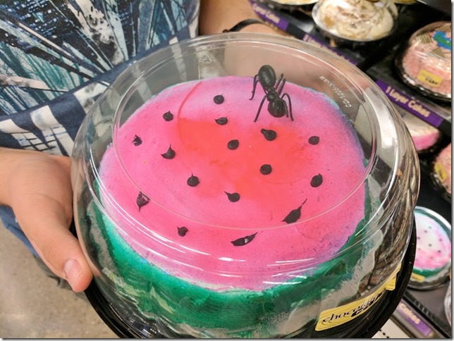 watermelon cake (785x589)