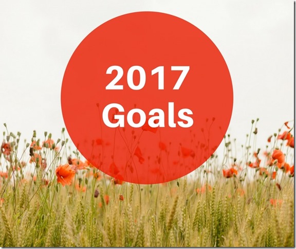 2017 goals mid year check in (800x671)