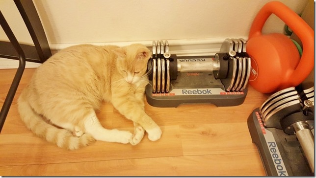 using the weights as a pillow (800x450)