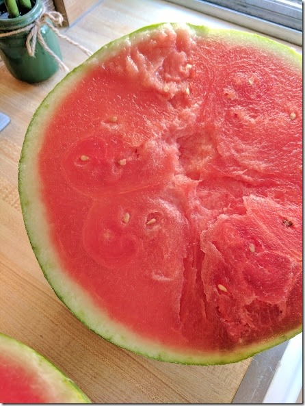 skinny watermelon rind (442x589)