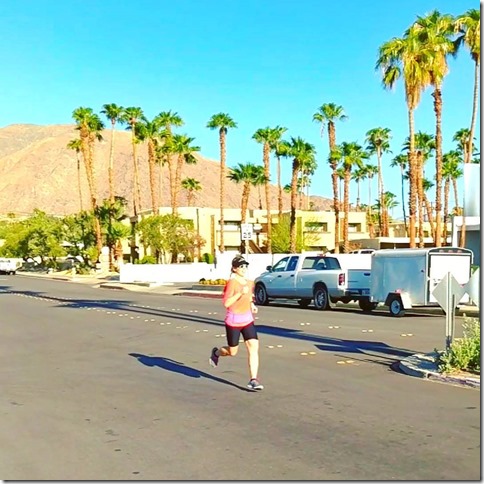 what to do in Palm Springs California