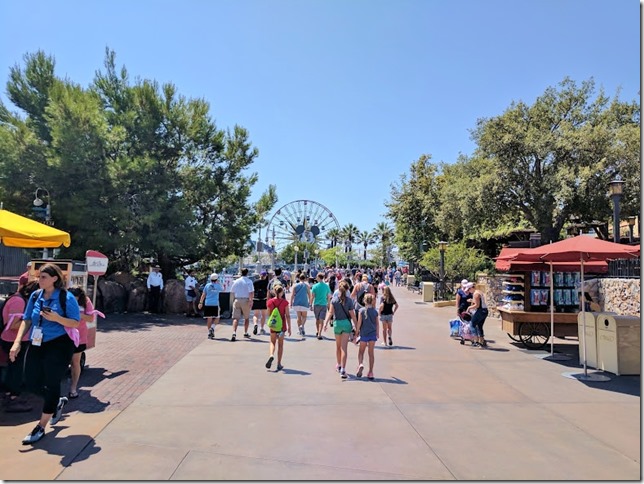 run disneyland california fun 7 (784x588)