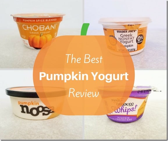 The BEST Pumpkin Yogurt Review