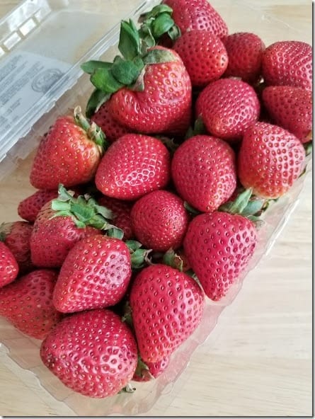 strawberry season (441x588)