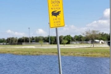 I went to Florida and all you got was this lousy blog post… I went to Florida and all you got was this lousy blog post…