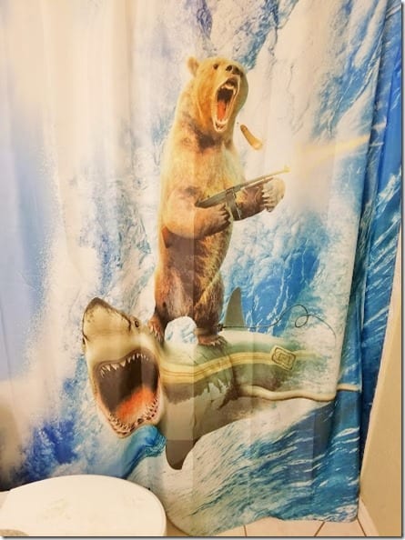 best shower curtain ever (441x588)