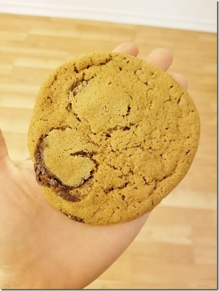 massive cookie (441x588)