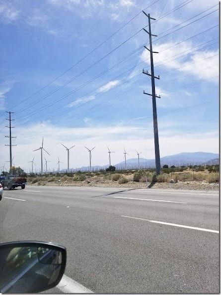 palm springs trip (441x588)