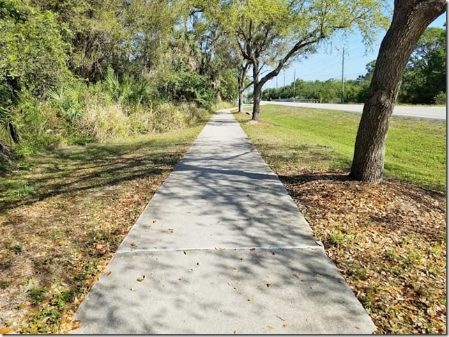 running in florida (784x588)