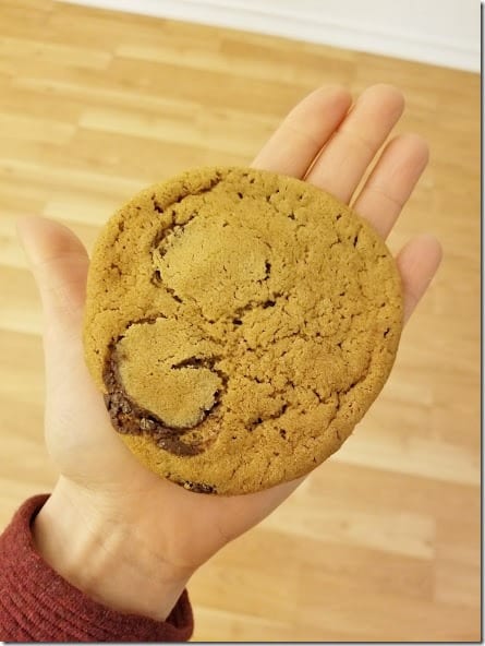 urban plate chocolate chip cookie (441x588)