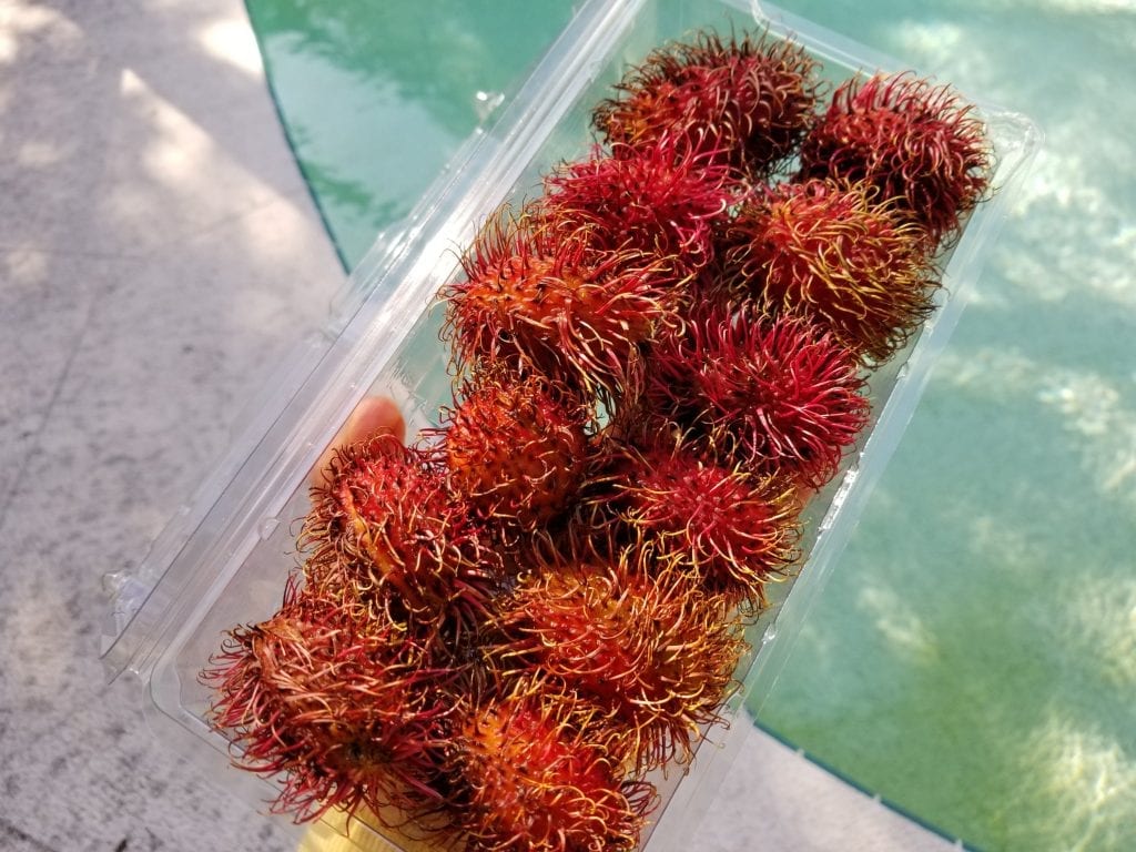 how to eat rambutan fruit