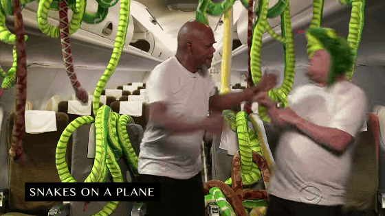 snakes on a plane