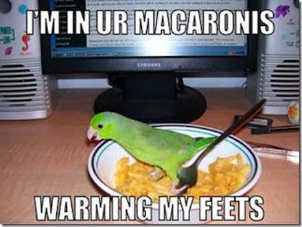 feets in macaroni