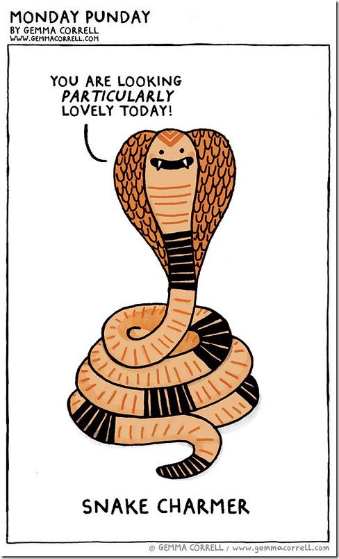 snake charmer