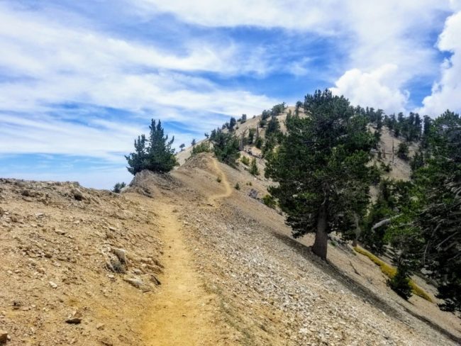 Mount Baden-Powell climb summit 