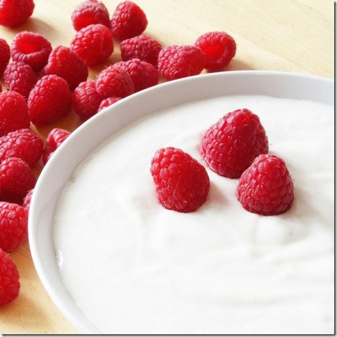 yogurt smoothie recipes (800x800)