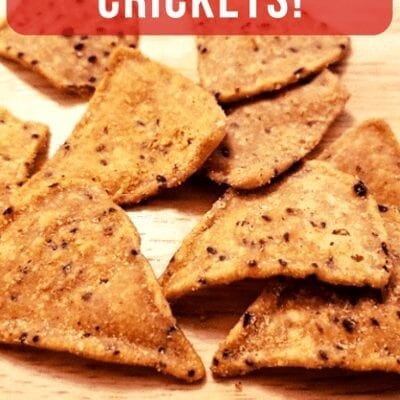 Cricket Chips–Trying Cricket Protein in Chips video