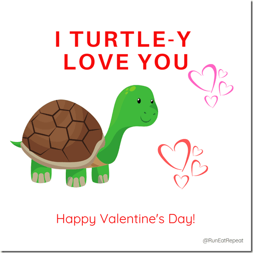 Turtle Valentine IG (1)