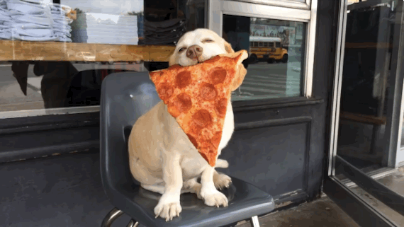 best pizza memes instagram