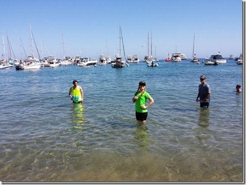 catalina marathon recap