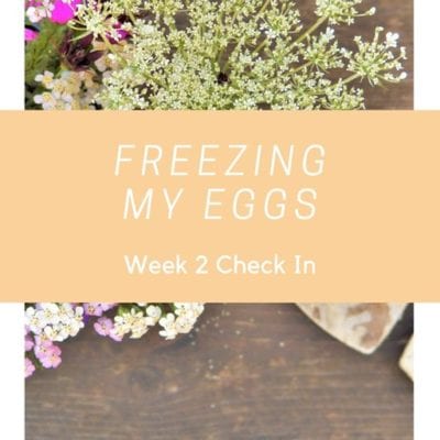 Egg Freezing Update Week 2