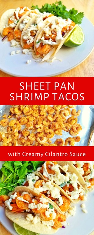 Sheet Pan Shrimp Tacos with Creamy Cilantro Sauce - Run Eat Repeat