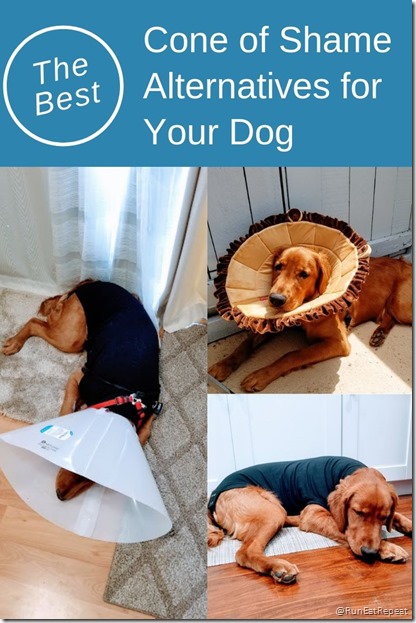 best cone of shame alternatives for dogs (1)